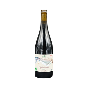 Vin rouge - vague de Loire AOC Touraine Côt Malbec 2018 14° bio