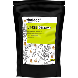 Bio Linsen gekeimt