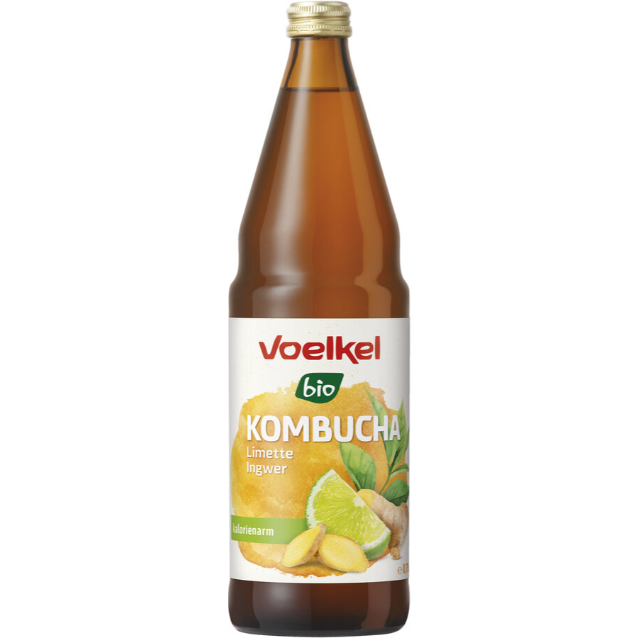 Bio Kombucha Limette & Ingwer