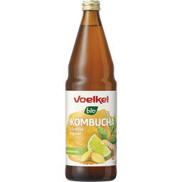 Bio Kombucha Limette & Ingwer
