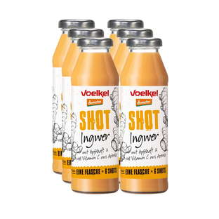 Bio Shot Ingwer demeter, Karton 6 Stk.