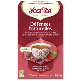 Infusion Défenses Naturelles Bio x 17
