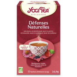 Infusion Défenses Naturelles Bio x 17
