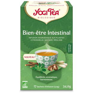 Infusion Bien-Être Intestinal Bio x 17