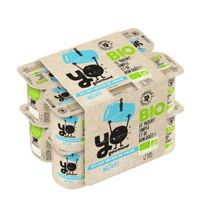 Yaourt nature entier bio x12
