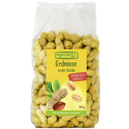 Bio Erdnüsse mit Schale, geröstet